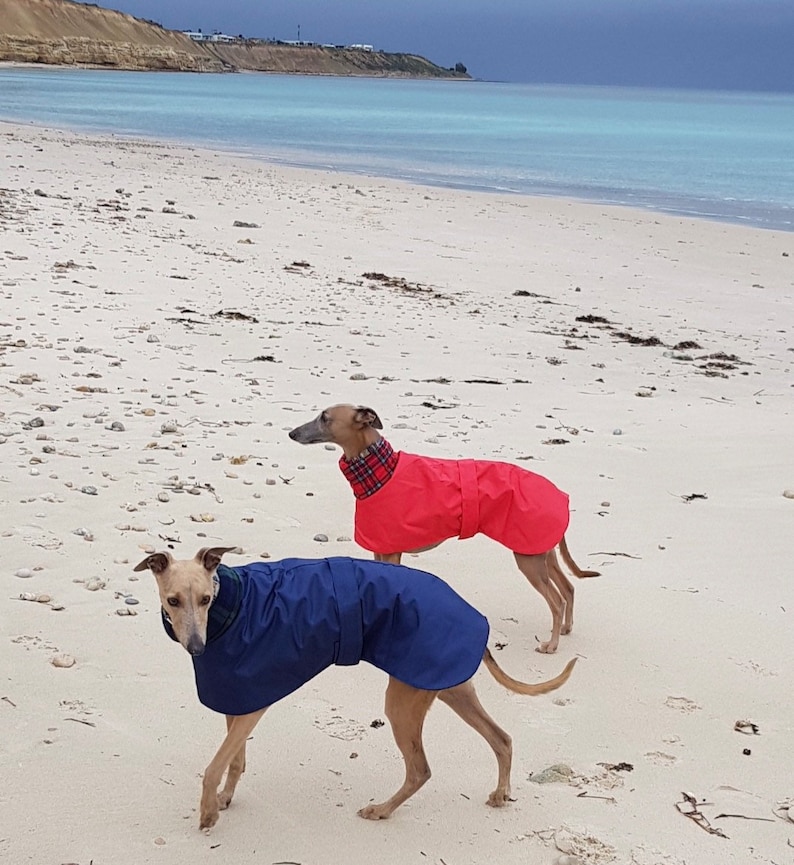 Manteau Greyhound, Manteau pour chien, Manteau doublé polaire, Manteau Whippet, Veste pour chien, Imperméable pour chien, Veste Whippet, image 7