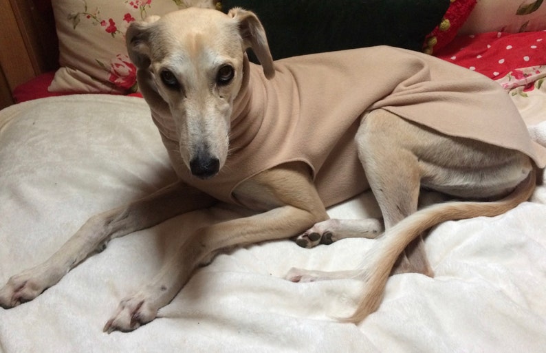 Greyhound and whippet,sighthound fleece jumpers / Sleeveless Sweater/pullover/vest CREAM