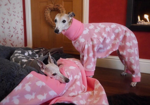 whippet pyjamas