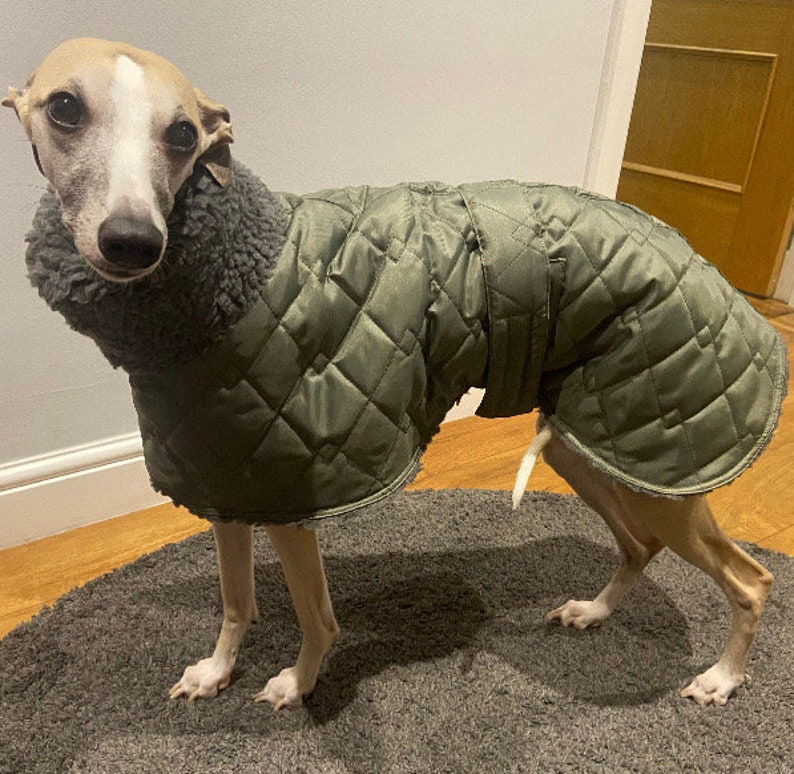 Waterproof greyhound coat with Sherpa fleece lined winter coats ,greyhound , whippet, lurcher, Italian Greyhound, extra warm coats image 3