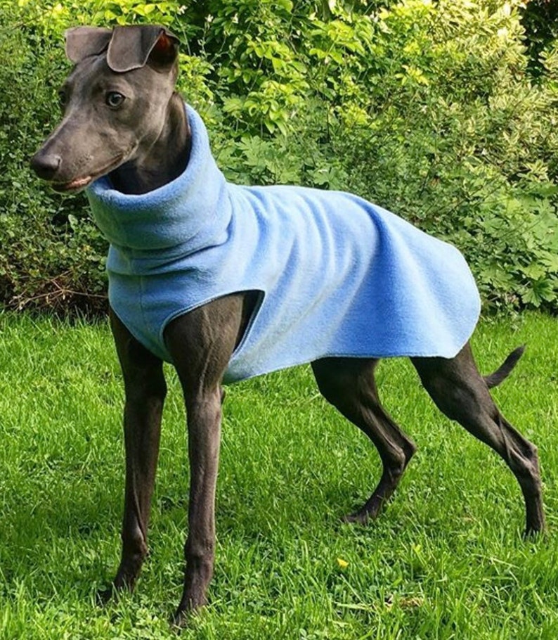 Greyhound and whippet,sighthound fleece jumpers / Sleeveless Sweater/pullover/vest Powder blue