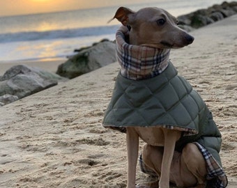 Waterdichte gewatteerde winterjassen met whippet en windhond