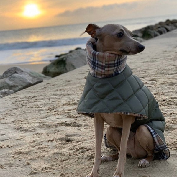 Manteaux d'hiver matelassés imperméables whippet et lévrier