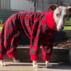 Greyhound Pyjamas, Greyhound Clothing, Greyhound Fleece Pjs, Dog Pyjamas, Whippet Clothing, whippet pyjamas , image 6