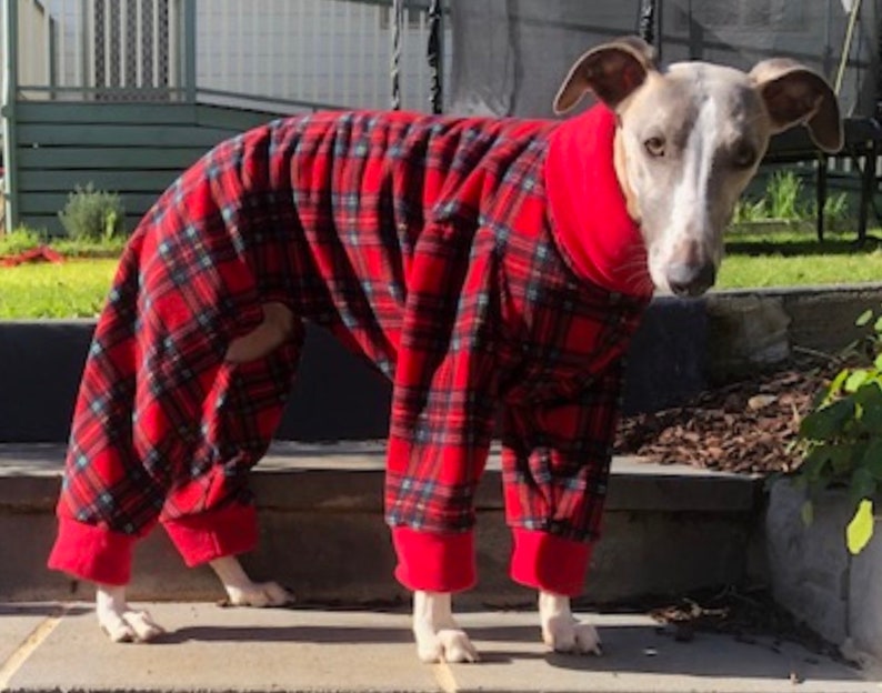 Greyhound Pyjamas, Greyhound Clothing, Greyhound Fleece Pjs, Dog Pyjamas, Whippet Clothing, whippet pyjamas , image 6