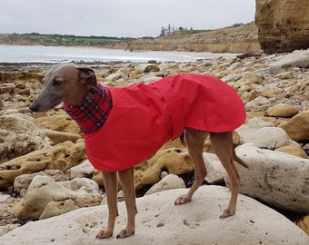 Etsy greyhound coat hotsell