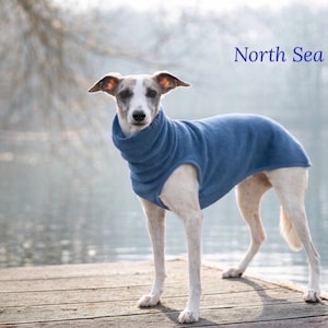 May include: A slender dog wearing a North Sea blue fleece sweater stands on a wooden dock. The dog has a white and gray coat and is looking directly at the camera. The background features a blurred body of water and trees.