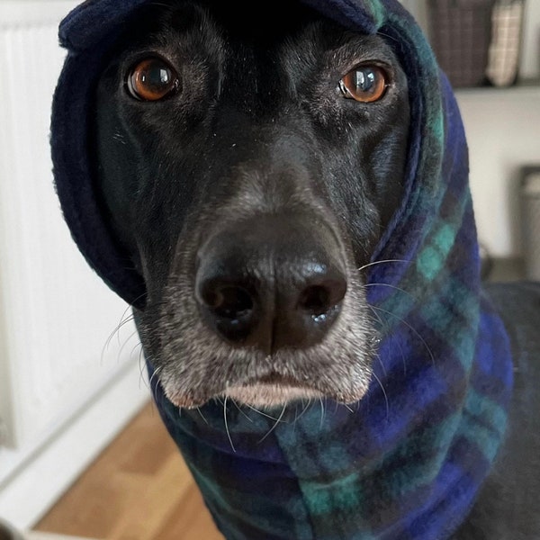 Greyhound - whippet - Afghan hound -  hats -cap - snood