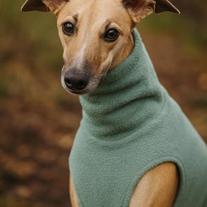 May include: A tan-colored dog wearing a teal fleece sweater. The dog has large, dark eyes and floppy ears. The sweater covers the dog's neck and chest, with an opening for the front legs. The background is blurred, with shades of brown and green.