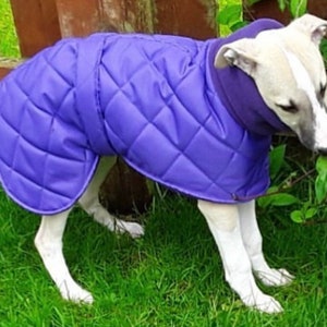 Italian greyhound quilted waterproof winter coats,Cirneco dell'Etna coats,whippet pup coats,dog coats custom made image 9