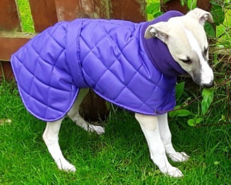 Italian greyhound quilted waterproof winter coats,Cirneco dell'Etna coats,whippet pup coats,dog coats custom made image 9