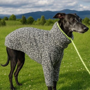 Whippet dog Pyjamas   Greyhound Clothing   Dog Pyjamas  Whippet Clothing   pjs for hound   whippet pup clothes  boucle fabric