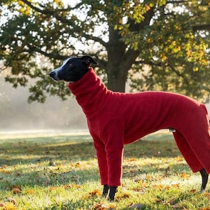 May include: A black and white dog wearing a solid red fleece bodysuit with a high turtleneck collar. The garment covers the torso and all four legs, featuring a soft texture and a fitted design that extends from the neck down to the ankles.