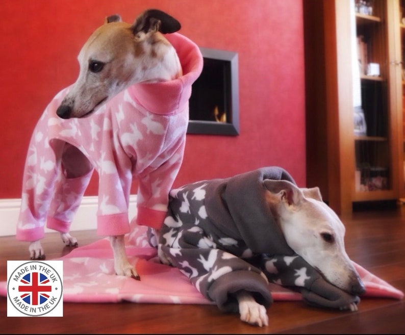 Pijamas Greyhound, Ropa Greyhound, Pijamas de lana Greyhound, Pijamas para perros, Ropa de látigos, Pijamas de látigos. imagen 2