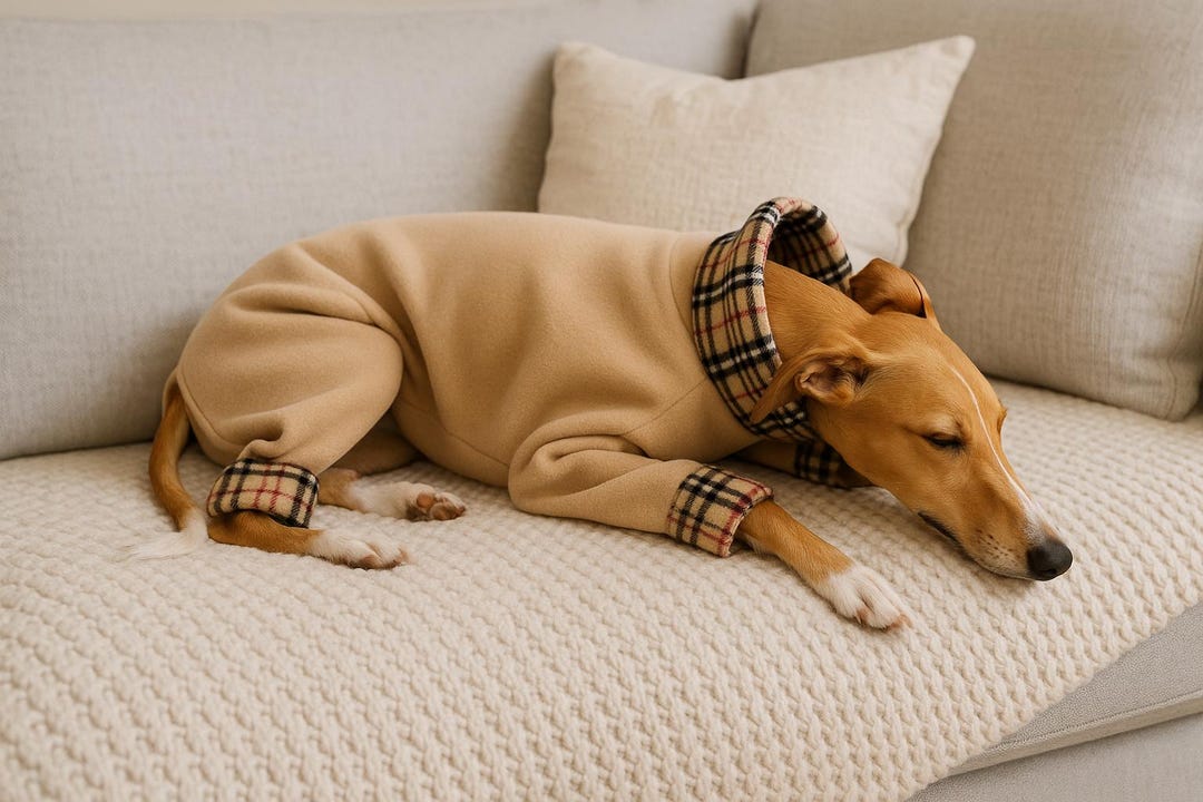 Whippet Fleece Pyjamas – Warm Dog Onesie Sleepwear for Sighthounds ...