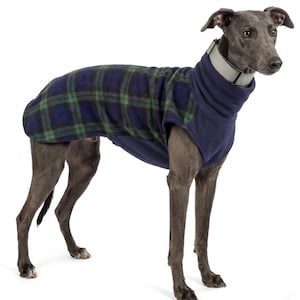 May include: A greyhound wearing a navy and green tartan dog coat with a navy blue turtleneck collar. The dog is on a white background. The coat is designed to keep the dog warm.