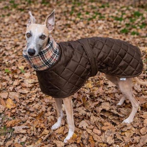 Waterproof whippet coat  whippet dog jackets  waterproof coats for whippets  jackets for whippet puppy