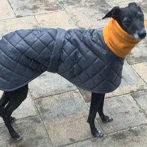 Waterproof greyhound coats, coats for sighthounds , greyhound pup coats