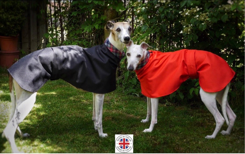 Imperméables d'été doublés de coton Whippet et Greyhound. image 1