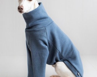 Pull sweat-shirt Whippet, lévrier italien, whippet, lurcher, lévrier, lévrier Saluki