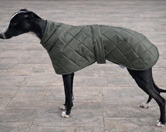Greyhound jackets - Whippet jackets  - waterproof winter jacket for hounds .( Ziggy )