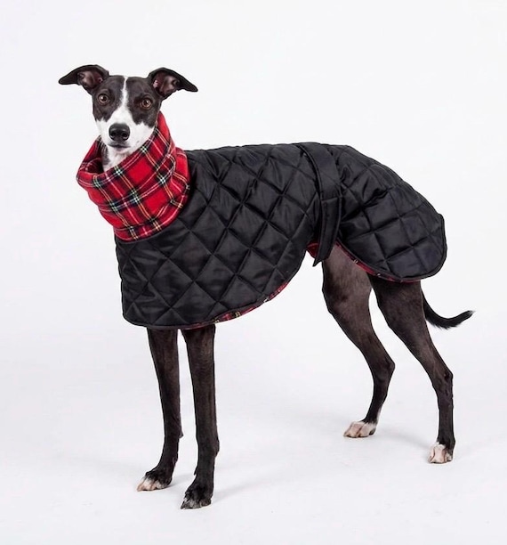 hundebett reise Wau-Snuggle Leo Black Hundekrbchen to go