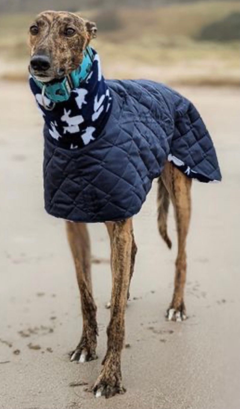 Greyhound winter jacket,whippet waterproof winter jackets,quilted coats