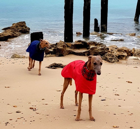 Greyhound winter cheap coats uk
