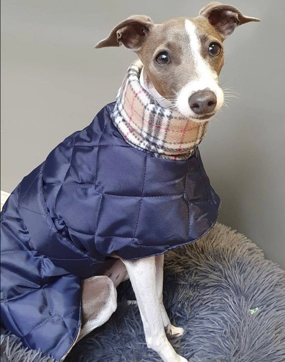 Quilted whippet coat Clearance