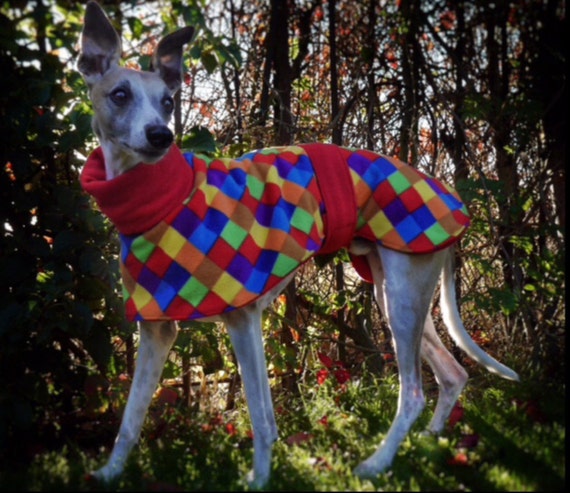 Italian Greyhound Soft Fleece Kennel House Coat All Fleece Coats Etsy