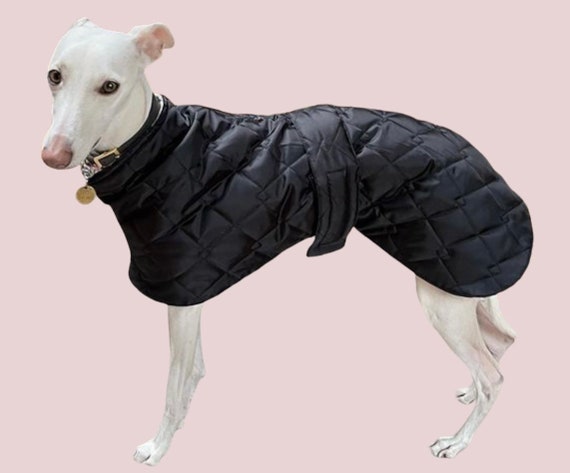 Greyhound and Whippet waterproof fleece lined quilted coats ( quilted ziggy )