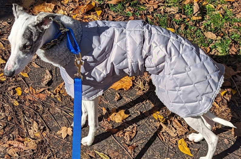 Waterproof greyhound coat with Sherpa fleece lined winter coats ,greyhound , whippet, lurcher, Italian Greyhound, extra warm coats image 8