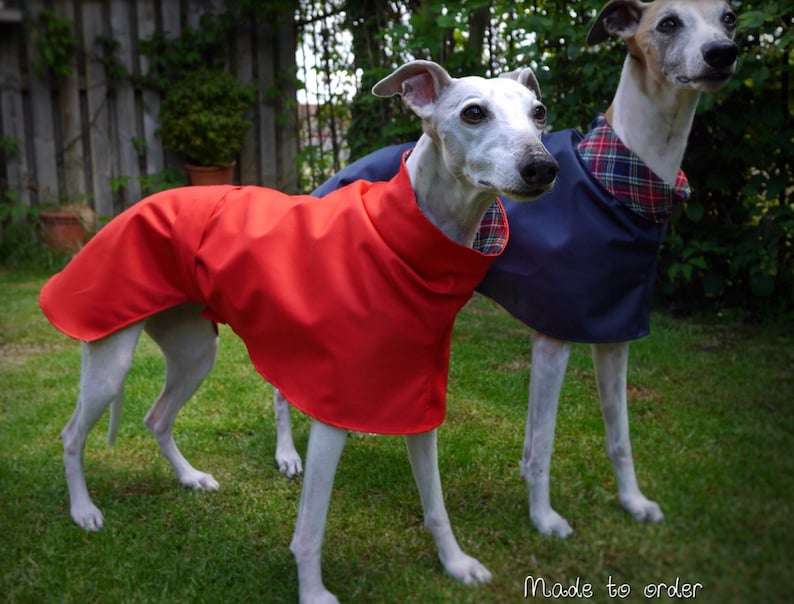 Imperméables d'été doublés de coton Whippet et Greyhound. image 4