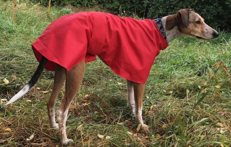 Imperméables d'été doublés de coton Whippet et Greyhound. image 9