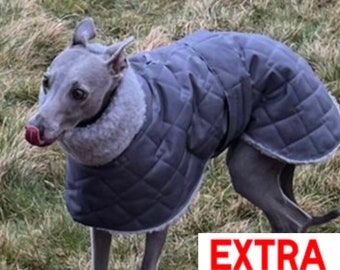 whippet and lurcher coats