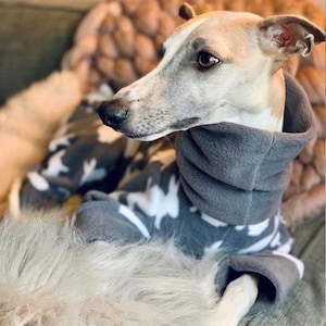 Italian Greyhound pjs  whippet pup clothes   pyjamas for whippet pups