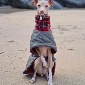 Waterproof winter greyhound coats. Winter coats for greyhound. Greyhound Fleece Coat UK image 6