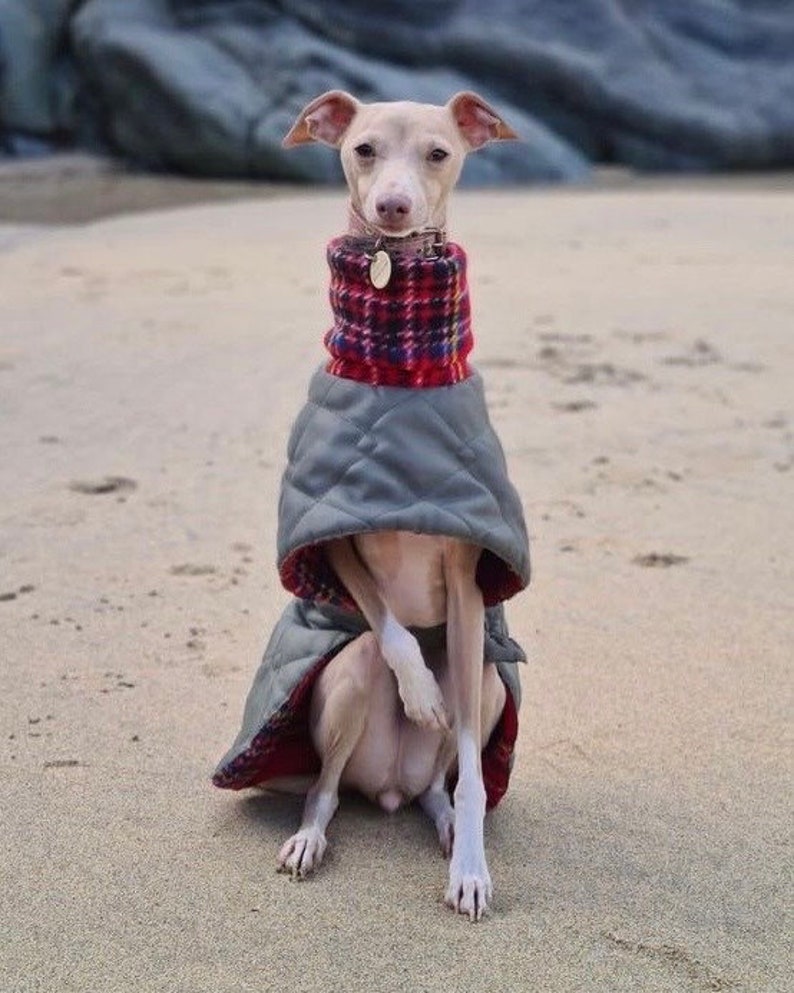 Waterproof winter greyhound coats. Winter coats for greyhound. Greyhound Fleece Coat UK image 6