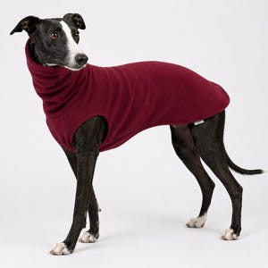 May include: A sleek, black and white dog wearing a burgundy fleece dog coat. The coat has a high collar and covers the dog's body, providing warmth. The dog is standing on a white surface.