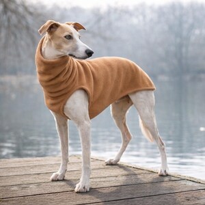May include: A tan-colored dog wearing a brown fleece dog coat stands on a wooden dock. The dog has white and tan fur and is looking to the side. The background features a body of water and trees.