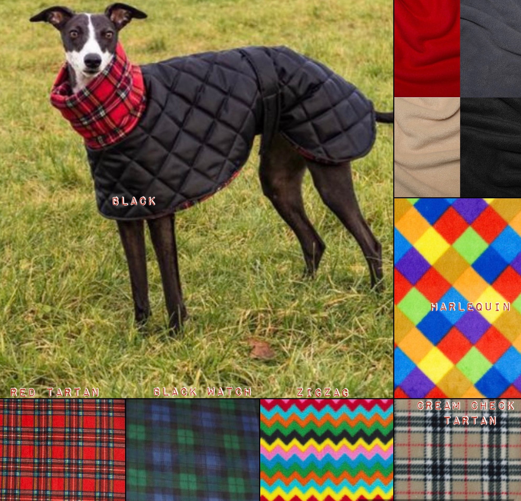 Do Lurchers Need Coats In Winter