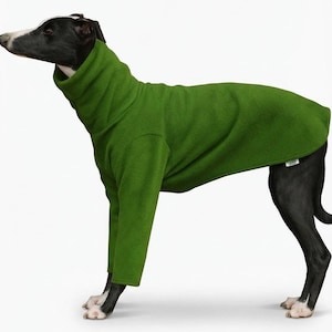 May include: A green dog sweater with a high collar and long sleeves. The dog is black and white, wearing the fleece sweater. The sweater is designed to keep the dog warm and comfortable. The dog is standing on a white background.