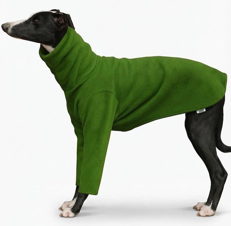 May include: A green dog sweater with a high collar and long sleeves. The dog is black and white, wearing the fleece sweater. The sweater is designed to keep the dog warm and comfortable. The dog is standing on a white background.