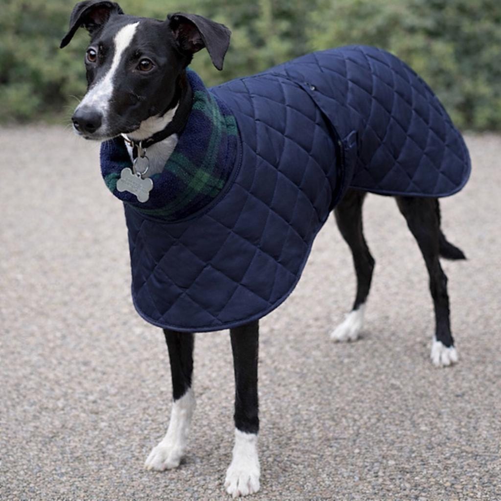 Hundemantel Blau & Braun  Wasserfest, Warm, Mit Geschirr, Fr Mittelgroe  Hunde, Vpetbr Hund Mantel Winter