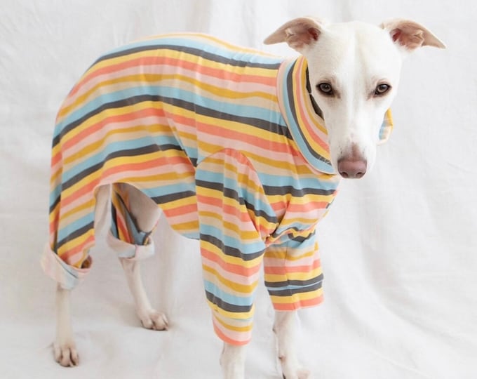 The whippet coats