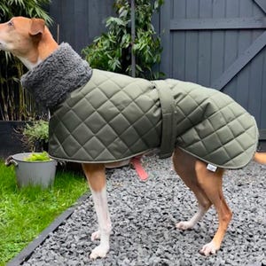 Waterproof greyhound coat with Sherpa fleece lined winter coats ,greyhound , whippet, lurcher, Italian Greyhound, extra warm coats