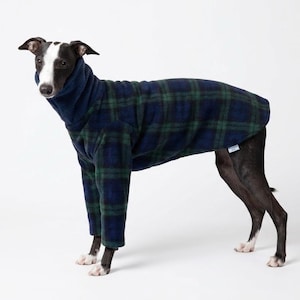 May include: A dog wearing a navy blue and green plaid fleece dog coat. The dog is a greyhound with a white and black face. The coat has a turtleneck collar and covers the dog's body and legs. The dog is standing on a white surface.