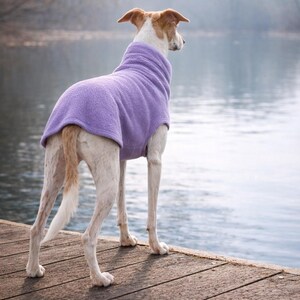 May include: A dog wearing a purple fleece sweater stands on a wooden dock, looking out at a body of water. The dog has white and tan fur. The background features a blurred view of trees and water.