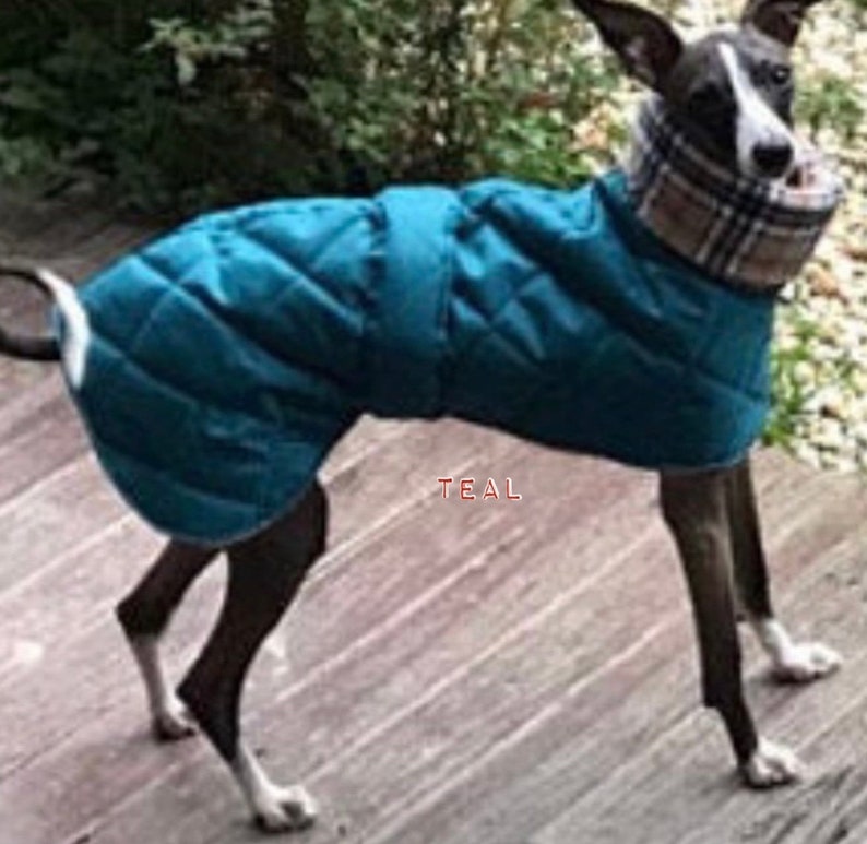 Waterproof winter greyhound coats. Winter coats for greyhound. Greyhound Fleece Coat UK image 10