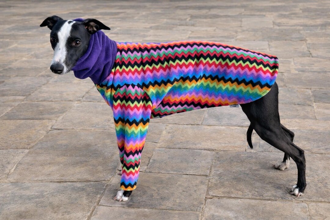 Handmade Fleece Dog Pyjamas – Sighthound, Whippet, Greyhound Cozy Wear ...